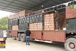 Hoạt động xuất nhập khẩu nhộn nhịp đầu năm