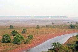 Luật hóa quy định liên quan đến chế độ sử dụng đất bãi bồi ven sông, ven biển