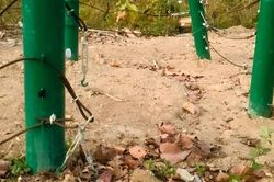 Đàn voi rừng phá hàng rào điện trung tâm bảo tồn động vật