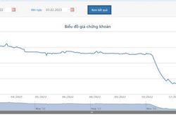 Vợ chồng Chủ tịch Hải Phát bị bán giải chấp thêm gần 2,7 triệu cổ phiếu HPX