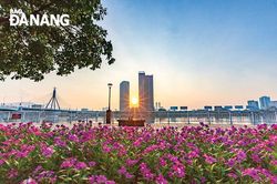Xây dựng Đảng gắn với phát huy giá trị văn hóa, sức mạnh con người Đà Nẵng