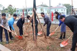 Thanh niên huyện Đông Anh hưởng ứng kế hoạch trồng cây xanh năm 2023