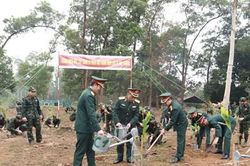 Học viện Hậu cần trồng hơn 3.000 cây xanh trong Tết trồng cây 2023