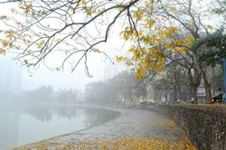 Thời tiết ngày 4/2/2023: Miền Bắc có mưa trên diện rộng