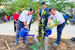 Trồng cây góp phần xây dựng thành phố môi trường
