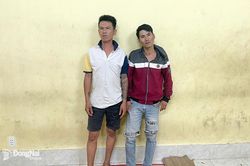 2 đối tượng trộm cắp tài sản sa lưới