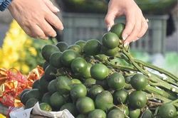 Góc ảnh Huế Góc ảnh Huế Lộc xuân