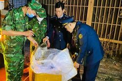 Chặn đứng ô tô vận chuyển gần 2 tấn nội tạng bốc mùi hôi thối