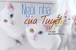 Đọc truyện đêm khuya: Ngôi nhà của Tuyết