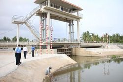 Xâm nhập mặn tại ĐBSCL tăng cao, việc tích nước thủy lợi gặp khó