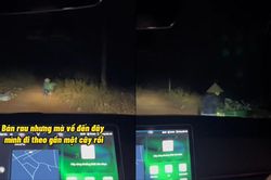 Âm thầm soi đèn cho cô bán rau về muộn, hành động sau đó của tài xế khiến người phụ nữ rối rít cảm ơn
