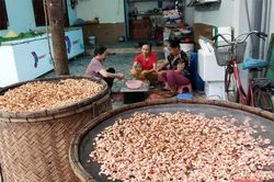 Tôm nõn khô - món quà của biển