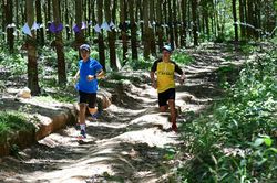 THACO Marathon Vì An toàn giao thông - Sa Thầy 2023 thu hút 1.000 VĐV tham dự