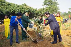 Lan tỏa 'Tết trồng cây đời đời nhớ ơn Bác Hồ' trên mọi miền biên cương Tổ quốc