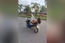 'Quái xế' nằm ngửa trên xe máy lao vun vút trên đường