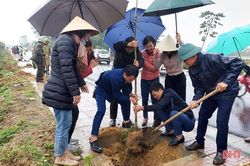 Can Lộc trồng mới hơn 84.200 cây xanh