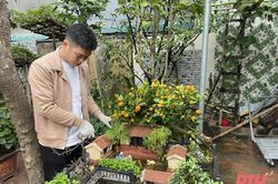 Chàng trai 9x với đam mê thiết kế tiểu cảnh