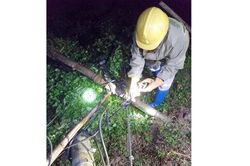 Thiệt hại hơn 4 tỷ đồng do mưa dông