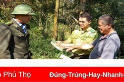 Hạ Hòa tích cực, chủ động phòng, chống cháy rừng