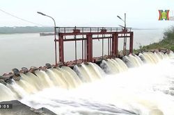 87,4% diện tích được cấp đủ nước gieo cấy lúa Xuân