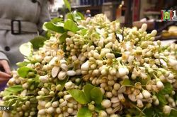 Chợ Hàng Bè (ngày 06/02/2023)