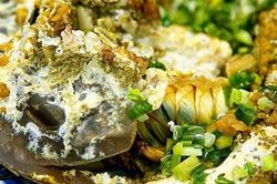 Ăn nhầm so biển tại quán, 3 người nguy kịch vì ngộ độc