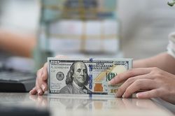 Đồng USD tăng lên mức cao nhất trong 4 tuần so với đồng Euro