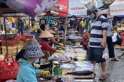 Các sản phẩm thủy sản Ninh Thuận đắt hàng sau Tết