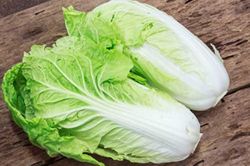 Mua cải thảo chọn cây xanh hay trắng ngon hơn: Người trồng mách cách chọn chuẩn