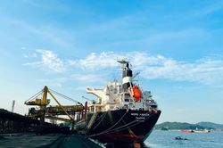 Tập đoàn Than Khoáng sản tập trung sản xuất ngay từ quý đầu, tháng đầu