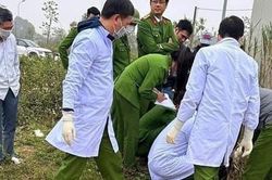 Phát hiện bộ xương người trong khu mặt bằng đô thị Đông Hương