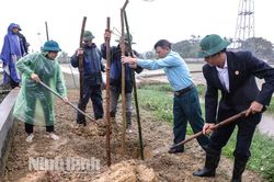 Hội Cựu chiến binh tỉnh phát động Tết trồng cây