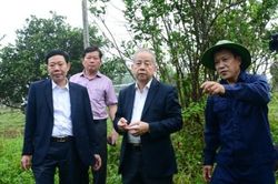 Chính trị - Xã hội Theo dòng thời sự Hương Bình cần phát huy hơn nữa lợi thế vùng gò đồi