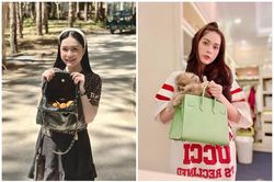 Sắm túi trăm triệu, 'nữ đại gia quận 7' đựng thứ bất ngờ