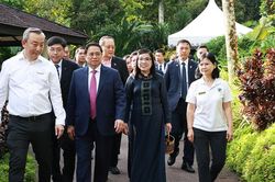 Singapore đặt tên loài lan mới theo tên Thủ tướng Phạm Minh Chính và Phu nhân