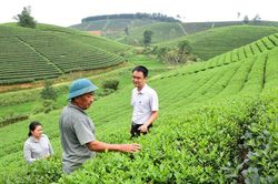 Nghệ An: Phấn đấu tốc độ tăng trưởng tổng sản phẩm ngành nông nghiệp đạt 4-4,5%/năm
