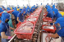 Việt Nam xuất khẩu sang khu vực châu Mỹ vượt 8 tỷ USD tháng đầu năm