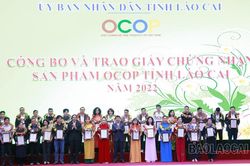 Công nhận 31 sản phẩm OCOP năm 2022