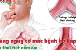 Tăng nguy cơ mắc bệnh hô hấp do thời tiết nồm ẩm