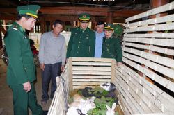 Chung tay nâng cao đời sống cho đồng bào vùng biên