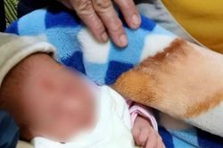 Bé gái sơ sinh nặng 3kg bị bỏ rơi bên đường kèm mẩu giấy chỉ đích danh người nuôi hộ