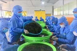 Khánh Hòa phấn đấu 11.500 lao động có việc làm trong năm 2023