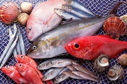 Những thực phẩm không nên sử dụng để tránh mất sữa sau sinh