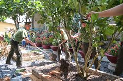 Công an Cửa khẩu Cảng hàng không quốc tế Cam Ranh: Tham quan, học tập truyền thống, trồng cây lưu niệm tại Khu tưởng niệm Chủ tịch Hồ Chí Minh