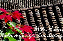 Miền thiêng trên mái ngói âm dương