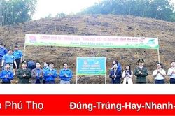 Phát động Tết trồng cây 'Tuổi trẻ Đất Tổ đời đời nhớ ơn Bác Hồ' Xuân Quý Mão 2023