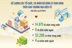 Hỗ trợ tối đa sàn thương mại điện tử trong khai, nộp thuế thay