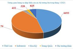 Ô tô trong nước đua giảm giá, xe nhập khẩu vẫn tăng hơn 200%