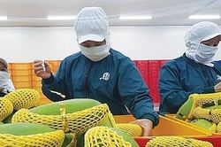 Thị trường Trung Quốc không còn dễ tính: Muốn thuận lợi phải tăng chất lượng