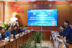 Tăng cường các giải pháp thúc đẩy chuyển đổi số ở huyện Bắc Hà